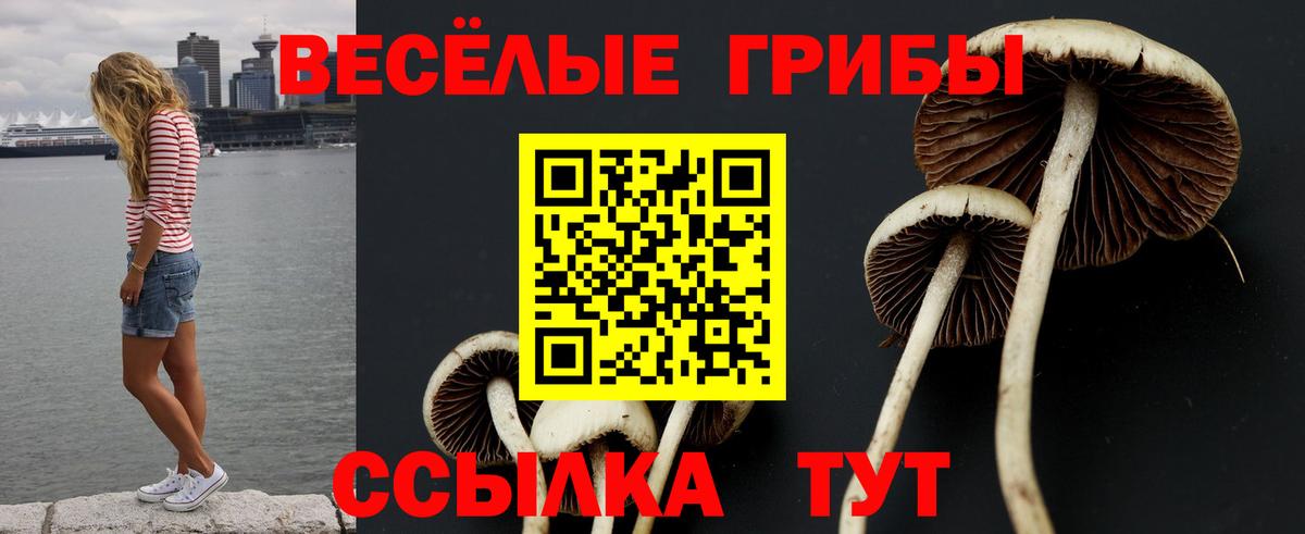 Галлюциногенные грибы MAGIC MUSHROOMS  Галлюциногенные грибы MAGIC MUSHROOMS  Избербаш  Вход с VPN 